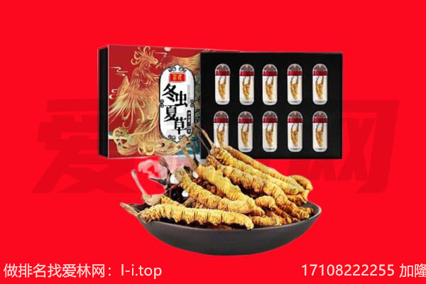 永州回收虫草.jpg